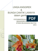 BUNGA ANGGREK