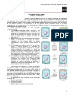 Patologia08 Degeneraes Medresumos Arlindonetto 120627023948 Phpapp01