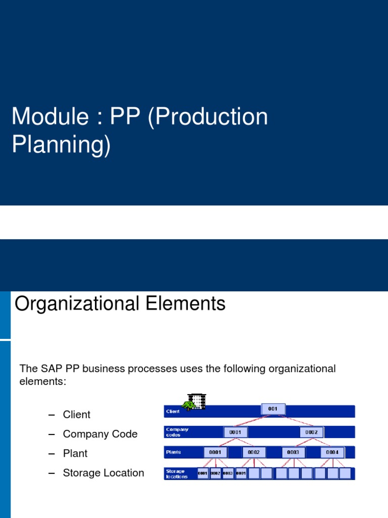 Sap | PDF