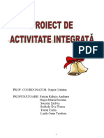 Proiect Integrat 11-12-2012