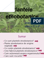 Plantele Etnobotanice