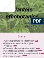 Plantele etnobotanice