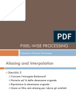 Pixel-Wise Processing: Francesca Pizzorni Ferrarese
