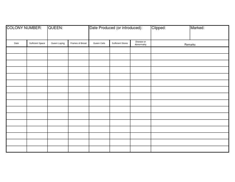 Queen Bee Colony Assessment Report | PDF