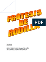 Prote Sis Rod Ill A Trabajo Final