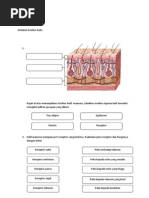 Soalan+Sains+PT3+Tingkatan+2