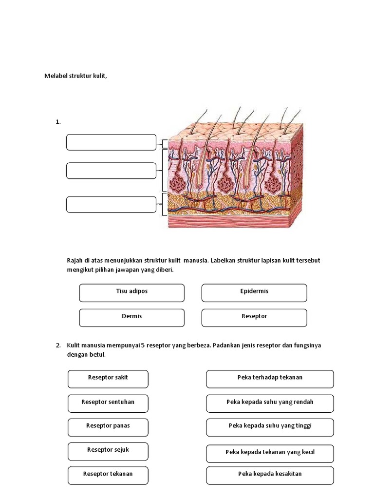 Soalan Sains Tingkatan 2