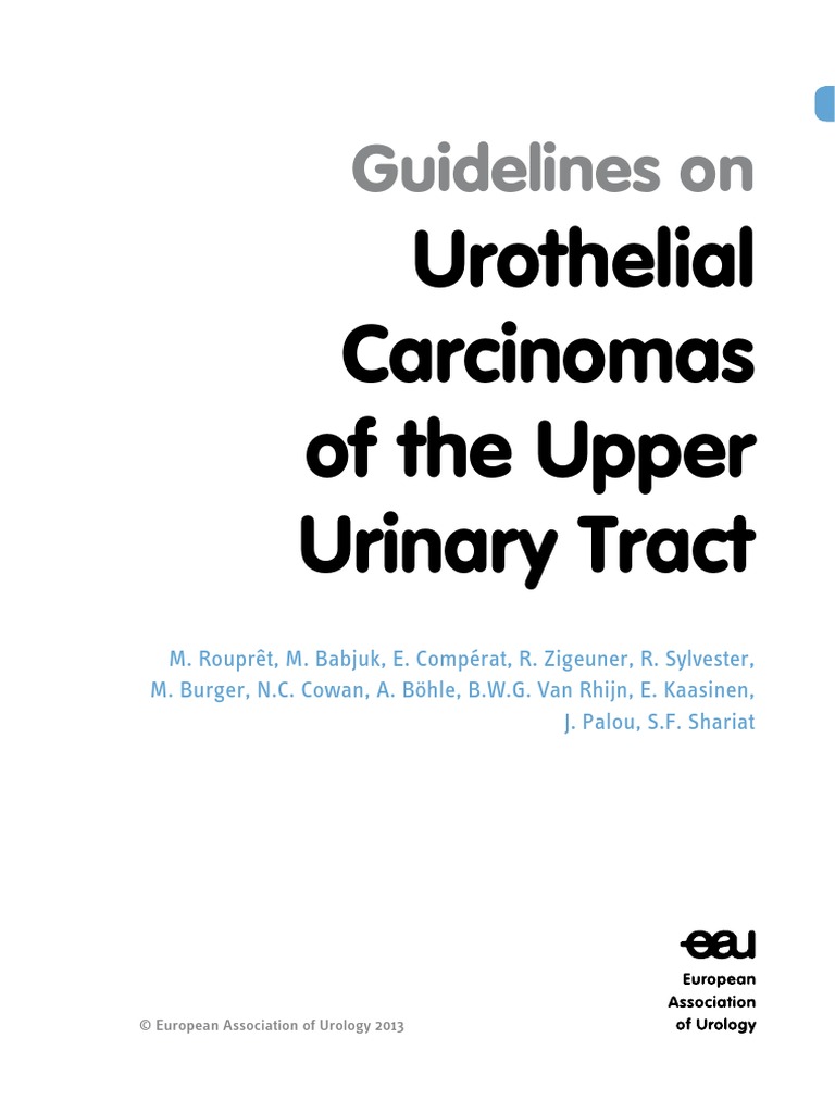 Urothelial Carcinomas of The Upper Urinary Tract: Guidelines On | PDF ...