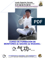 V3 Program Qigong Completo 2013Este