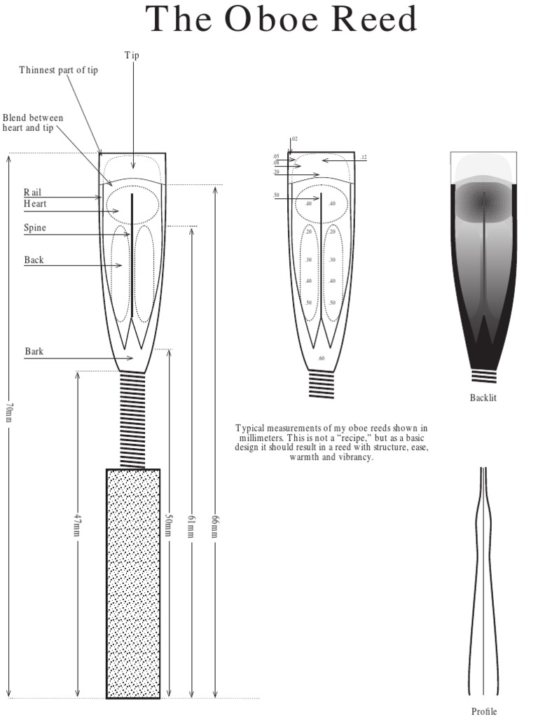 Oboe Reed Anatomy and Measurements | PDF