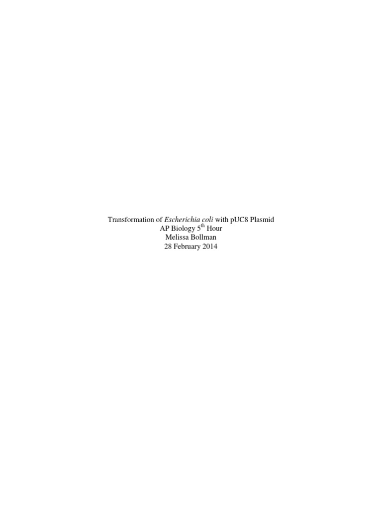Transformation of Escherichia Coli With Puc8 Plasmid Lab Report | PDF ...