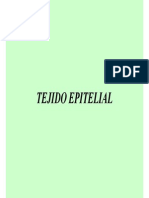 Tejido_epitelial.pdf