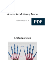 52320966 Anatomia Mano