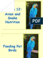 Avian and Snake Nutrition