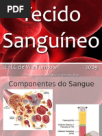 Biologia - Tecido Sanguíneo