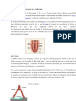 Anatomia y Fisiologia Sexual Humana 2012