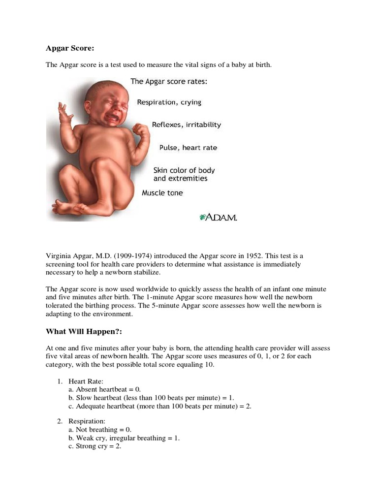 Apgar Score | PDF | Infants | Heart Rate