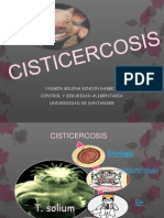 Cisticercosis 2