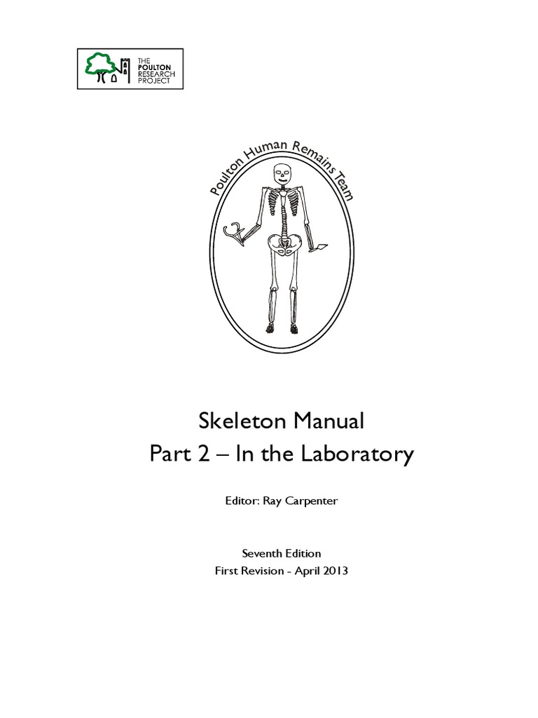 Skeleton Excavation Manual Part 2 | PDF | Vertebra | Skull