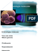 Embriología Molecular 1 y 2