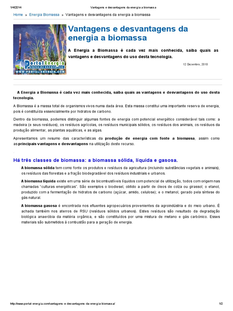 Vantagens e Desvantagens Da Energia A Biomassa | PDF | Biomassa ...
