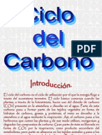 Ciclo Del Carbono