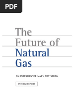 Natural Gas Study