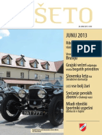 Reseto 2013 06 Junij