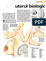 Computerul Biologic PDF