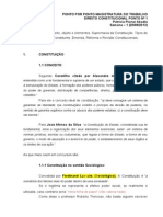 PPMT Direitoconstitucional Ponto1 Patrícia 2013