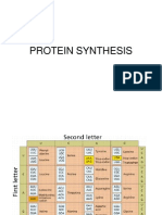 Protein Synthesis3