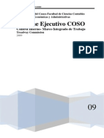 Informe Ejecutivo COSO