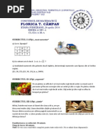 Subiect Concurs Lectura Cl Ii