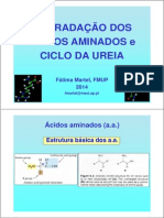 08-Degradacao de a.a. Azoto