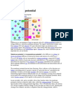 Membrane Potential: From Wikipedia, The Free Encyclopedia