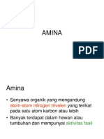 AMINA Rev 4