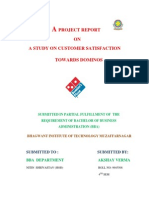  Dominos Project research