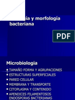 Estructura Bacteria
