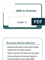 Microsoft PowerPoint - ch14 Lecture (Protein Synthesis)
