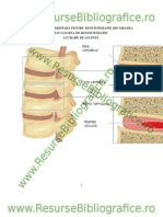 WWW - Resursebibliografice - Ro - Kinetoterapia Dupa Hernia de Disc Lombara