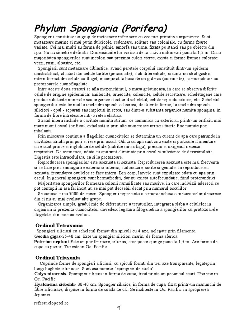 Phylum Spongiaria - Doc5f701 | PDF