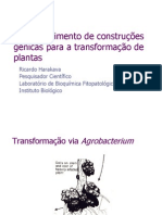 Apresentação1 Bom Transf