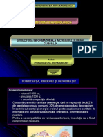 Structura Informationala A Creierului Uman