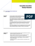 Formation Executive Cloudy Channels IBM