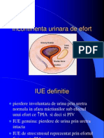 Incontinenta Urinara de Efort