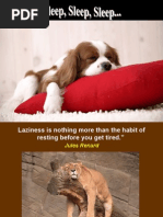 Download Sleep Sleep Sleep  by Bro Oh Teik Bin SN22104066 doc pdf