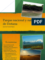 Parque Nacional y Natural de Doñana