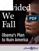 Divided We Fall- Obama's Plans to Ruin America