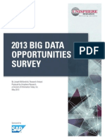 2013 Big Data Opportunities Survey