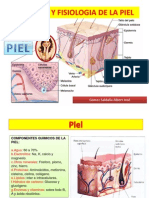 Anatomiayfisiologiadelapiel 131114122848 Phpapp02